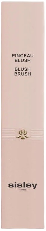 PINCEAU BLUSH - Farmadott.it