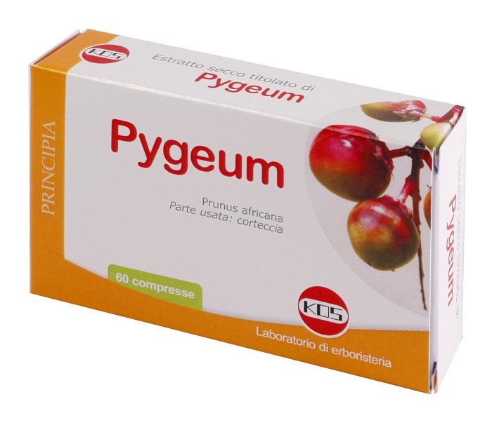 PYGEUM ESTRATTO SECCO 60 COMPRESSE - Farmadott.it