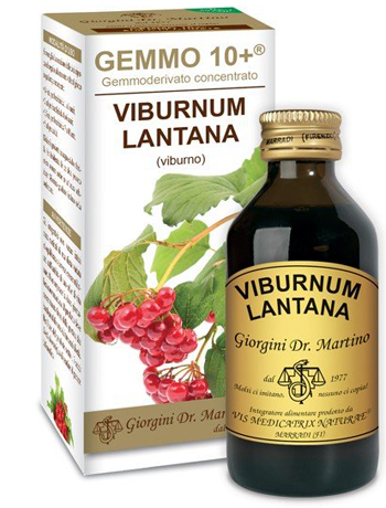 VIBURNO LIQUIDO ANALCOLICO GEMMO 10+ 100 ML - Farmadott.it