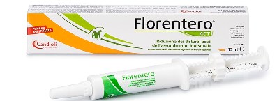 FLORENTERO ACT SIRINGA DOSATRICE 15 ML PASTA PER CANI E GATTI - Farmadott.it