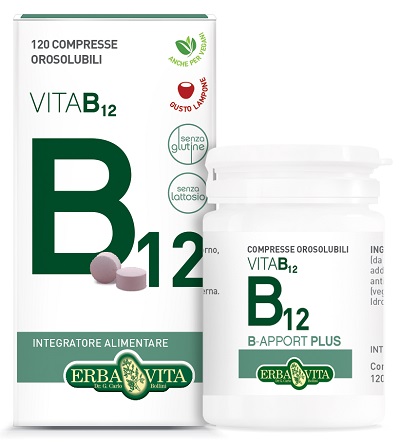 B APPORT VITAMINA B12 120 COMPRESSE OROSOLUBILI - Farmadott.it