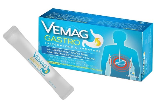 VEMAG GASTRO 20 STICK - Farmadott.it
