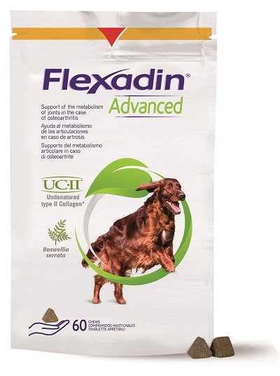 FLEXADIN ADVANCED CANE TUTTE LE TAGLIE 60 TAVOLETTE APPETIBILI - Farmadott.it