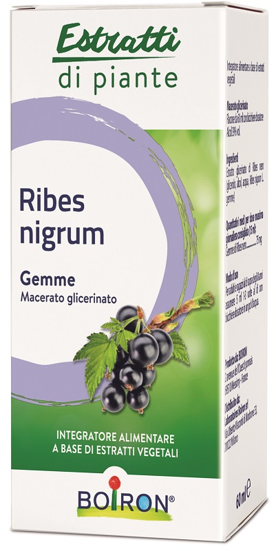 RIBES NIGRUM BOIRON MACERATO GLICERICO 60 ML - Farmadott.it