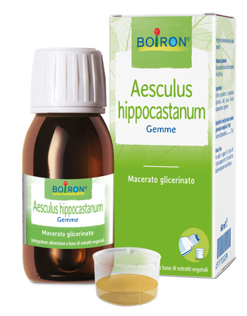 AESCULUS HIPP BOIRON MACERATO GLICERICO 60 ML - Farmadott.it