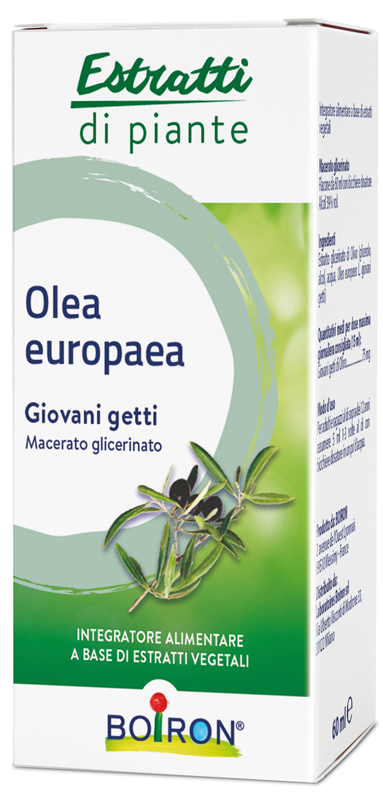 OLEA EUROPAEA BOIRON MACERATO GLICERICO 60 ML - Farmadott.it