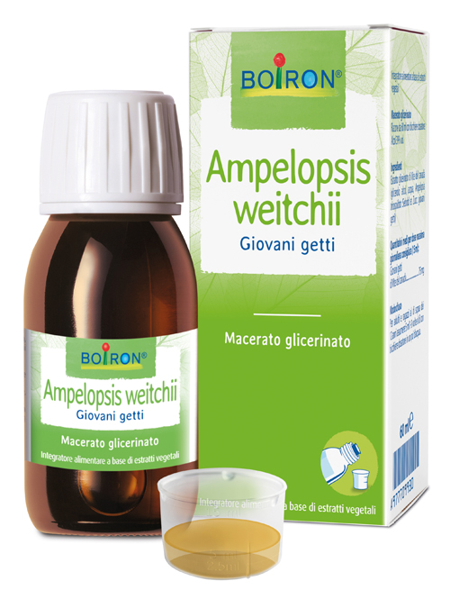 AMPELOPSIS WESTRATTO IDROALCOLICO BOIRON MACERATO GLICERICO 60 ML - Farmadott.it