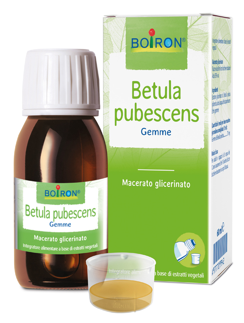 BETULA PUBESC BOIRON MACERATO GLICERICO 60 ML - Farmadott.it