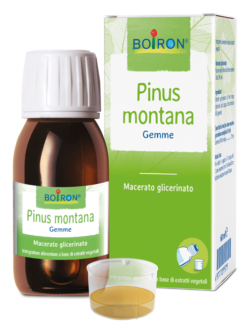 PINUS MONTANA BOIRON MACERATO GLICERICO 60 ML - Farmadott.it