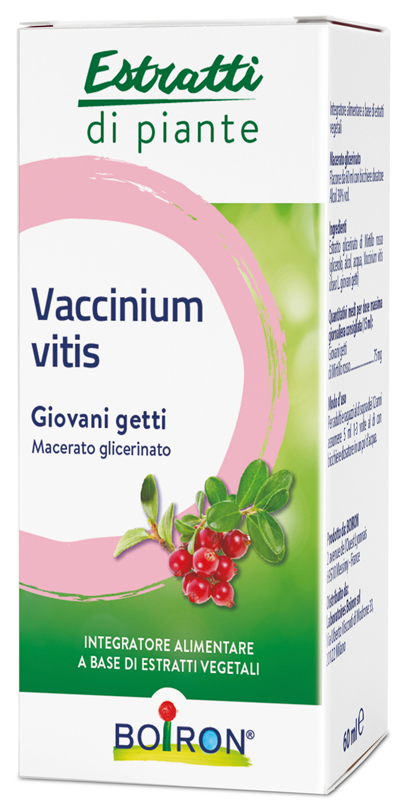 VACCINIUM VITIS MACERATO GLICERICO 60 ML - Farmadott.it