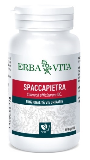 SPACCAPIETRA 60 CAPSULE - Farmadott.it