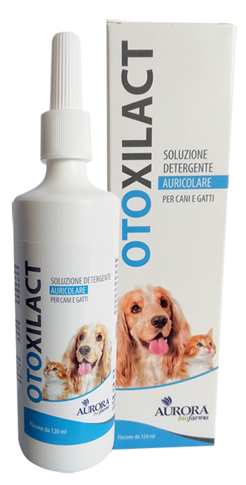 OTOXILACT DETERGENTE AURICOLARE - Farmadott.it