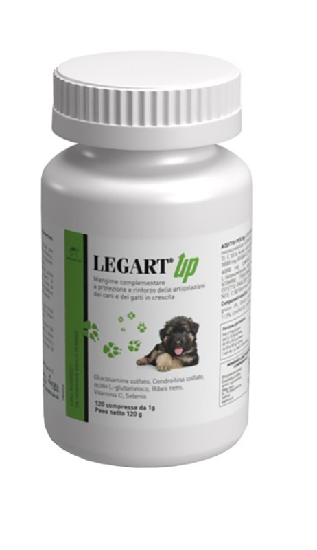 LEGART UP 120 COMPRESSE - Farmadott.it