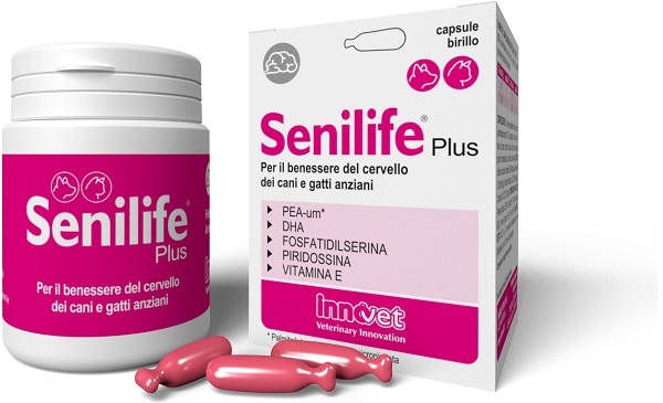SENILIFE PLUS 30 CAPSULE - Farmadott.it