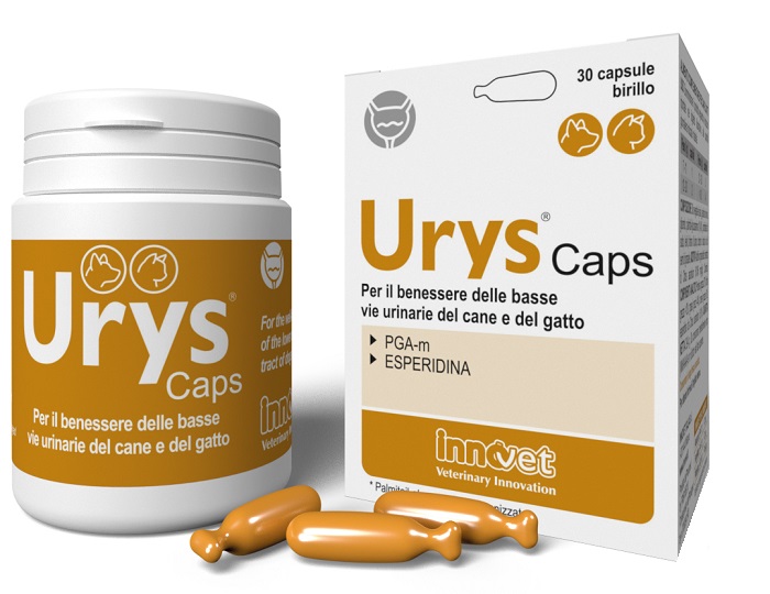 URYS CAPS 30 CAPSULE - Farmadott.it