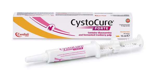 CYSTOCURE FORTE PASTA 15 ML - Farmadott.it