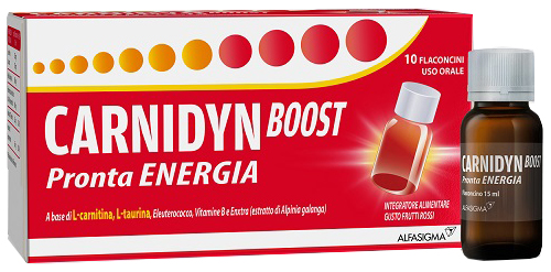 CARNIDYN BOOST 10 FLACONCINI - Farmadott.it