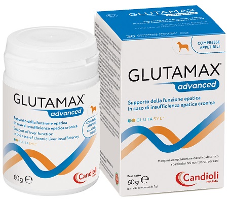 GLUTAMAX ADVANCED 30 COMPRESSE - Farmadott.it